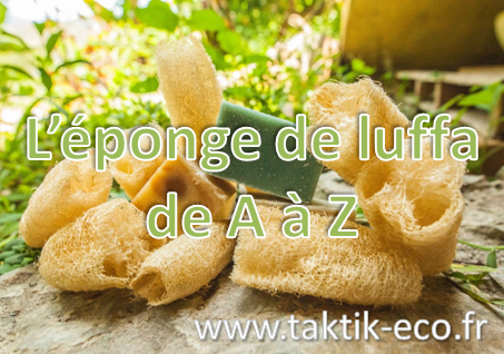 L'éponge de luffa de A à Z