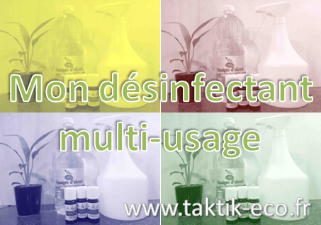 Mon petit Kit « Déo Assainissant Maison » 3 Huiles essentielles et 1  Vaporisateur de 50ML 