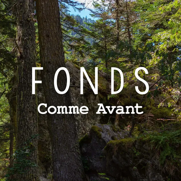 12 fonds comme avant biodiversite copie 720x